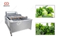 300-5000KG/H Leafy Vegetable Washing Machine Green Leaves Washing Machine supplier