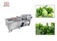 300-5000KG/H Leafy Vegetable Washing Machine Green Leaves Washing Machine supplier