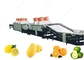 1t/H-5t/H Fruit Washing Equipment Fruit Washing Line For Fruit Export Sales supplier