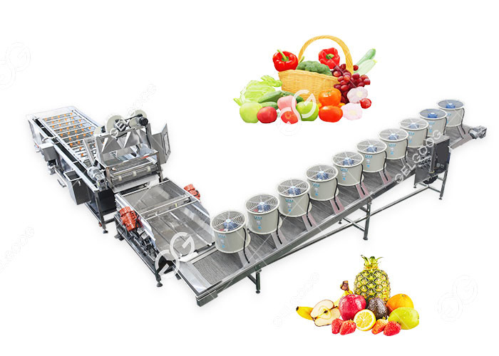 Efficient Customized Fruit And Vegetable Washing And Drying Production Line